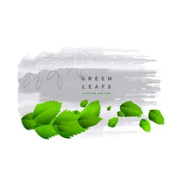 Fesh green leaves vector background Stock Illustration