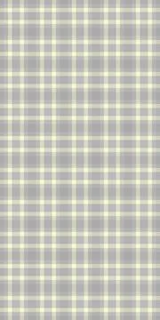 Festival check vector seamless, network plaid pattern texture. Mexico texti.. Stockillustratie