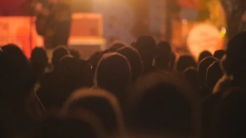 Festival Crowd 1 Stock Footage 92644013