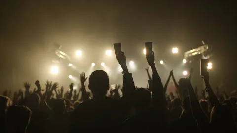 Festival Crowd Stock Footage 154296594
