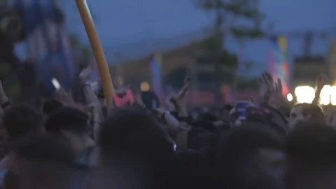 Festival Crowd Hands 1 Stock Footage 94681334