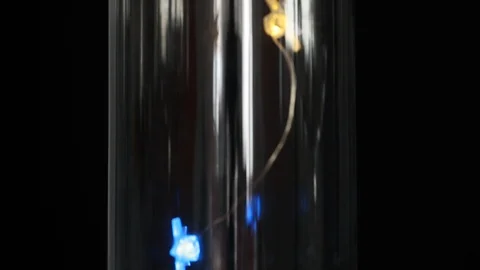 Festival decorative string star lights putting on the glass vase Video stock 121844163