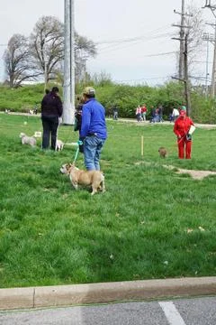 Festival event atmosphere at 'EASTER EGG HUNT FOR PETS' Foto stock