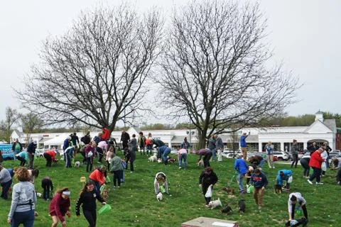 Festival event atmosphere at 'EASTER EGG HUNT FOR PETS' Stock-Fotos