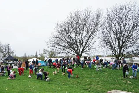 Festival event atmosphere at 'EASTER EGG HUNT FOR PETS' Stock Photos