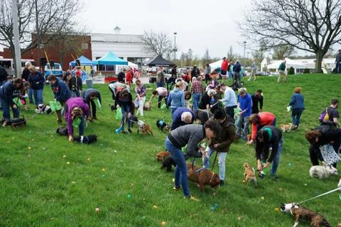 Festival event atmosphere at 'EASTER EGG HUNT FOR PETS' Stock Photos