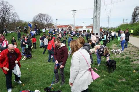 Festival event atmosphere at 'EASTER EGG HUNT FOR PETS' Stock Photos
