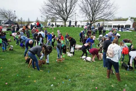 Festival event atmosphere at 'EASTER EGG HUNT FOR PETS' Stock Photos