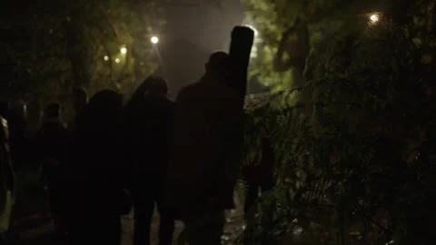 Festival Folk Crowd Stock Footage 301623368