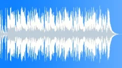 Festival Of Funk - 15 SecondStock Music
