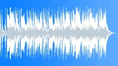 Festival Of Funk - 30 SecondStock Music