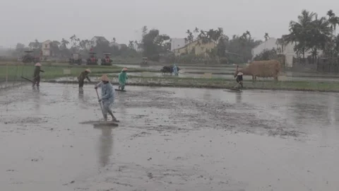 The festival going down at Hoi An Stock Footage 260325551