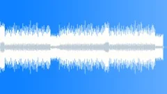 Festival Stock Music