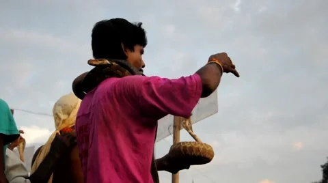 Festival of snake Stock Footage 41951024