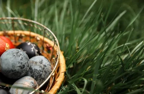 Festive 2026 Easter Celebration. Spring 2026 Easter Garden Concept. Easter .. Фото