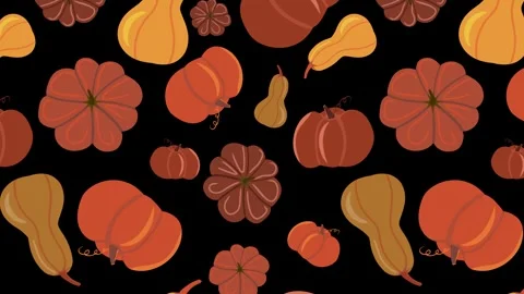 Festive animated pattern of colorful pumpkins and squash on a black background. Stock Footage 320893089