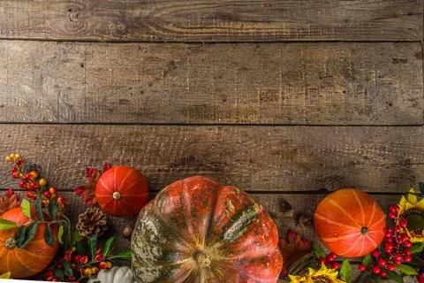 Festive autumn background Stock Photos