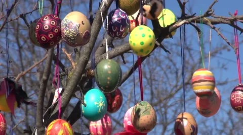 Festive background painted Easter eggs branches tree Stock Footage 49079144