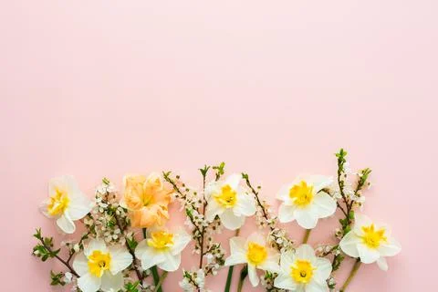 Festive background with spring flowers Stock Photos