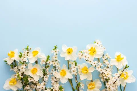 Festive background with spring flowers Stock Photos