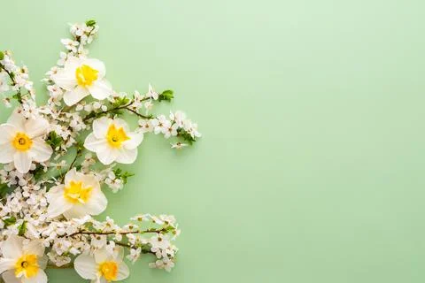 Festive background with spring flowers Stock Photos