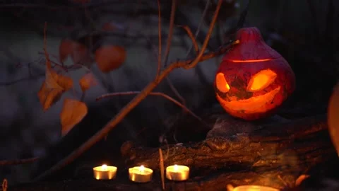 Festive beautiful Jack o Lantern pumpkin stands on ground in night autumn forest Stock Footage 139201976