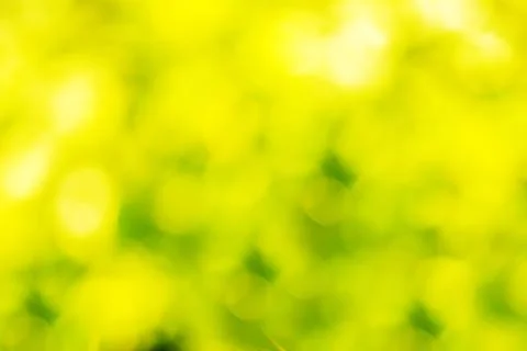 Festive blur background Stock Photos