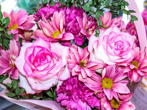 Festive bouquet of garden flowers of pink roses and pyrethrum. Stock Photos
