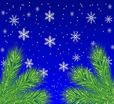 Festive christmas background with the branches of silver fir,vector illustrat Stock Illustration