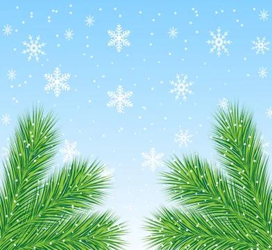 Festive christmas background with the branches of silver fir Stock Illustration