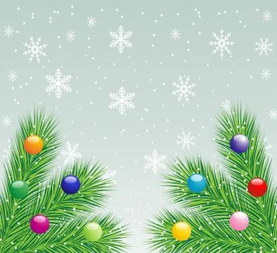 Festive christmas background with the branches of silver fir Stock Illustration