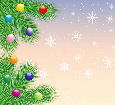 Festive christmas background with the branches of silver fir Stock Illustration