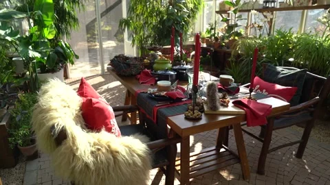 Festive Christmas table set in a green glass greenhouse. Stock Footage 145084635