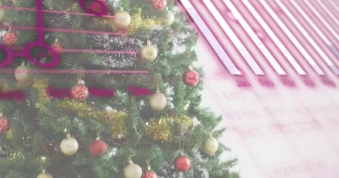 Festive Christmas tree beside window as pink code scrolling in and charts Stock Footage 317834544