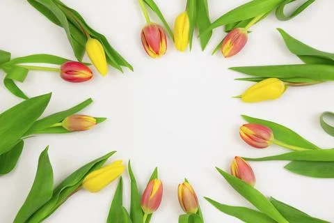 Festive composition of fresh spring flowers. Copy space. Stock Photos