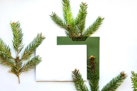 Festive composition. Spruce branch in a green envelope on a white backgroun.. Stock Photos