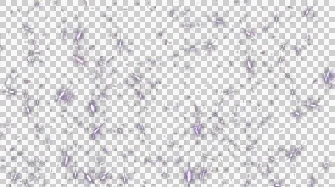 Festive confetti Stock Footage 53889728