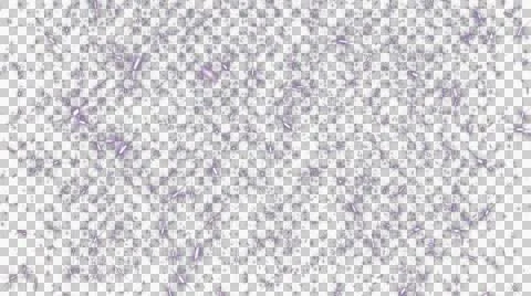 Festive confetti Stock Footage 53889909