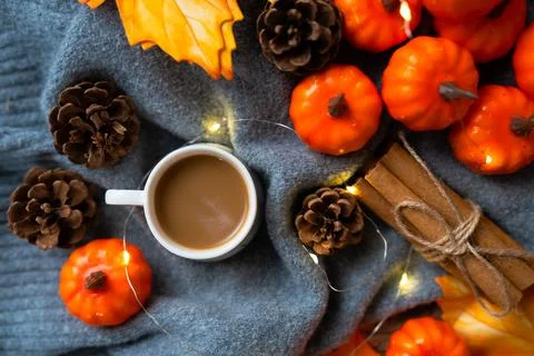 Festive cup with fall lights and pumpkin accents Stock Photos