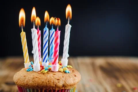 Festive cupcake on a dark background Stock Photos