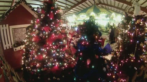 Festive, Decorated Christmas Trees Video stock 12748600