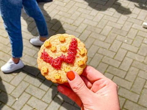 Festive decorated cookie in hand Stock Photos