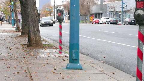 Festive Decorated Parking Meter Stock Footage 237841892