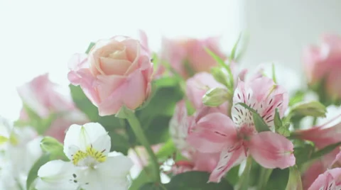 Festive decoration 動画素材 37937954