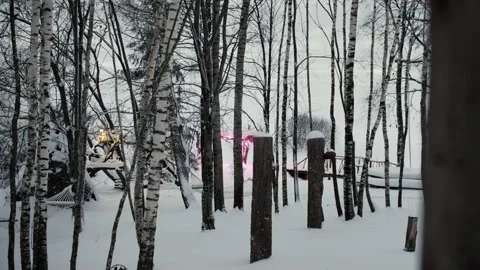 Festive decoration (illuminations on trees) in the forest in winter. Stock Footage 231808666