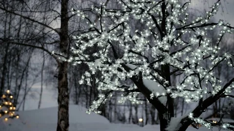 Festive decoration (illuminations on trees) in the forest in winter. Stock Footage 231808719
