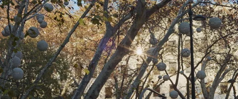 Festive decorations hanging on trees Stock Footage 151395049