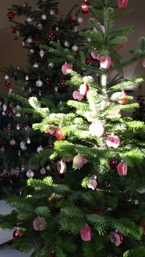 A festive display of Christmas trees decorated with unique ornaments, including  Stock Footage 294713186