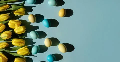 Festive Easter banner on a blue background with copy space, yellow tulips and Stock Photos