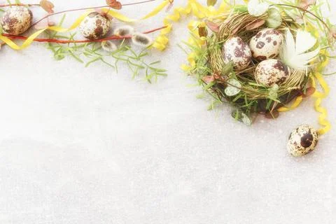 Festive Easter border, frame from easter eggs and spring flower on gray bac.. Stock Photos